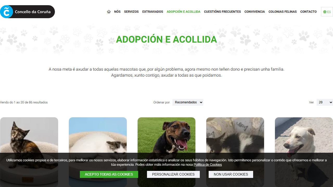 Catálogo de adopción y acogida del Concello da Coruña
