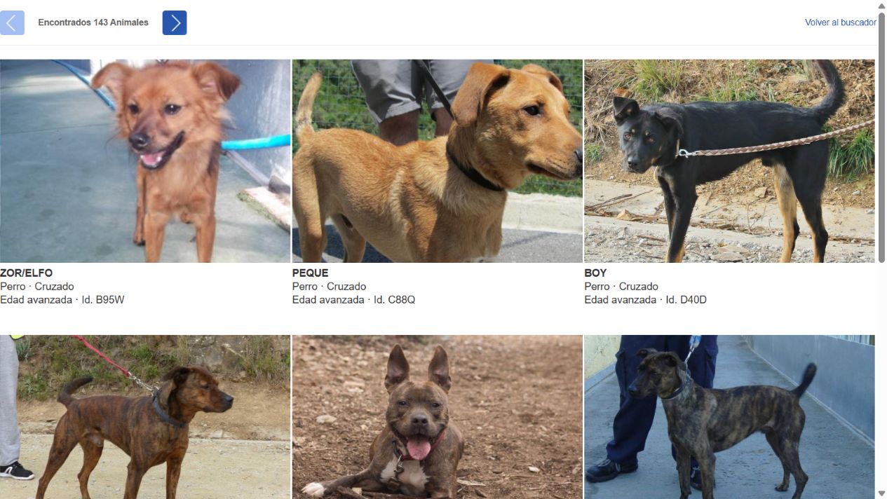 Ejemplo del listado de perros mostrado por el catálogo municipal del CAACB