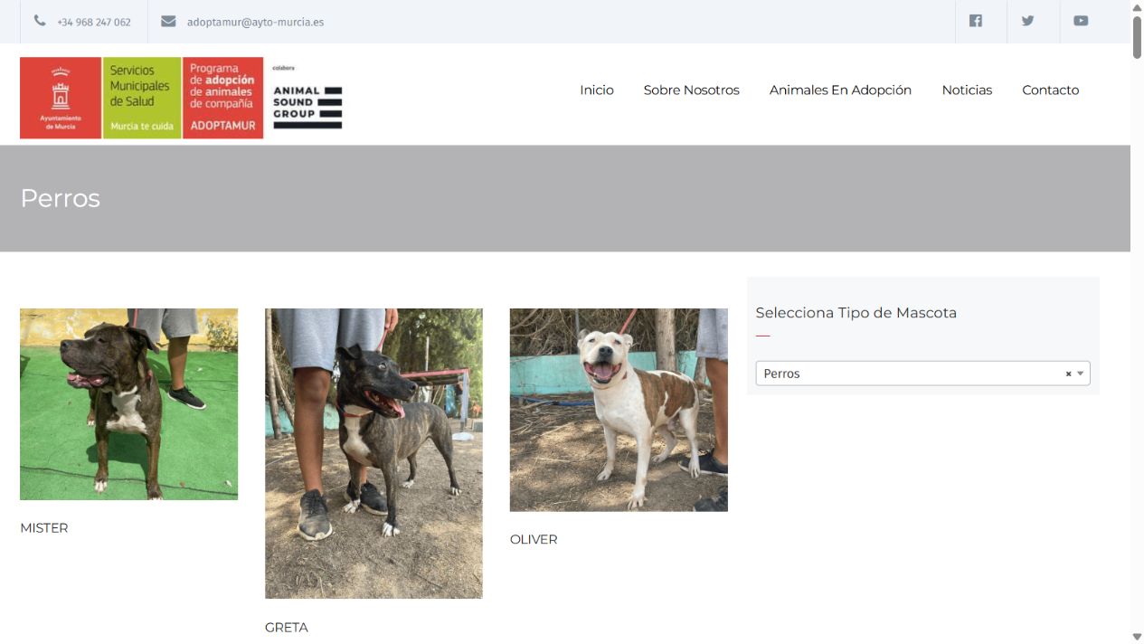 Catálogo de perros de AdoptaMur del Ayuntamiento de Murcia