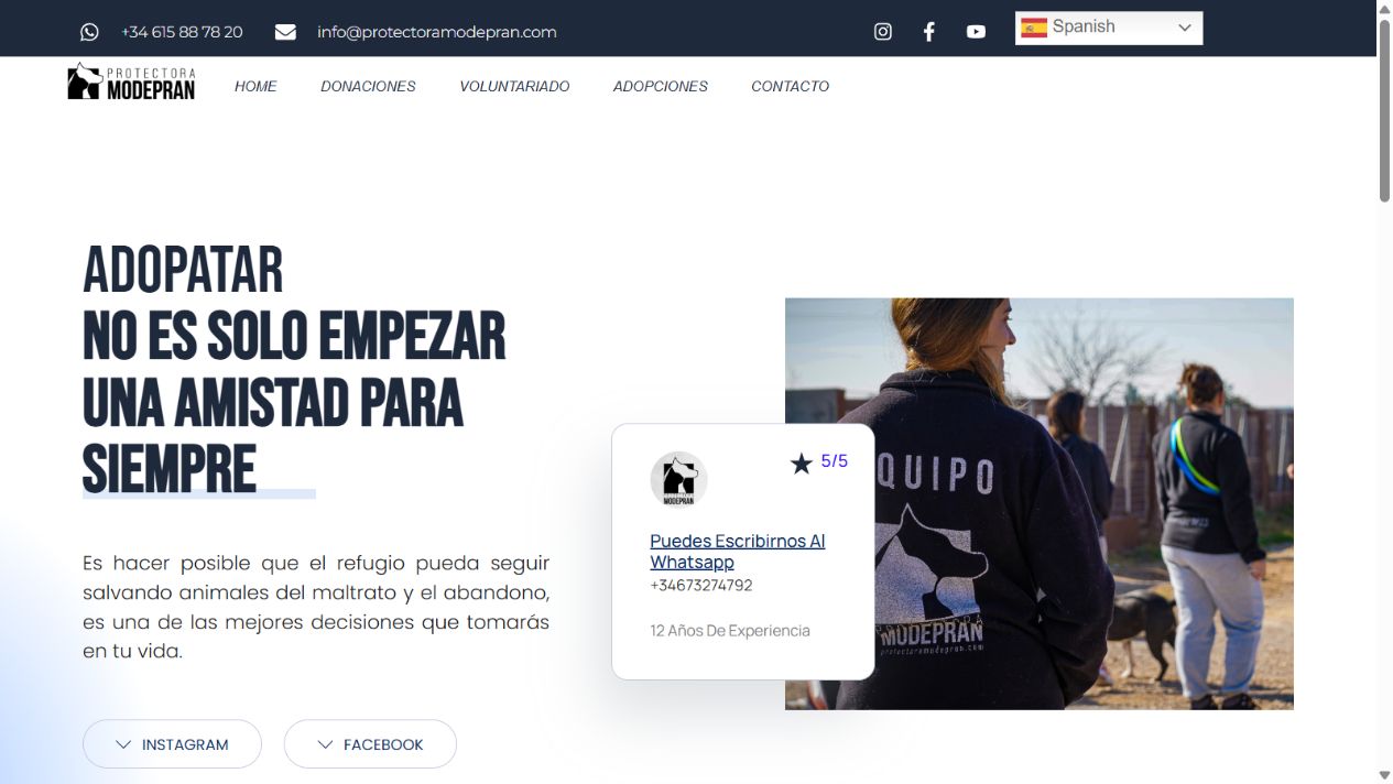 Página de adopciones y acogida de Modepran en Valencia